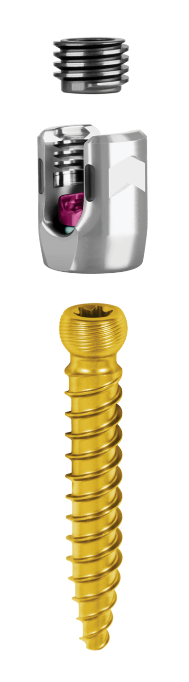 CREO® AMP Threaded CoCr Polyaxial Screw with Locking Cap