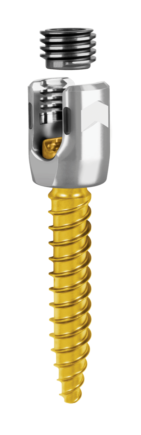 CREO® Threaded CoCr Polyaxial Screw and Locking Cap