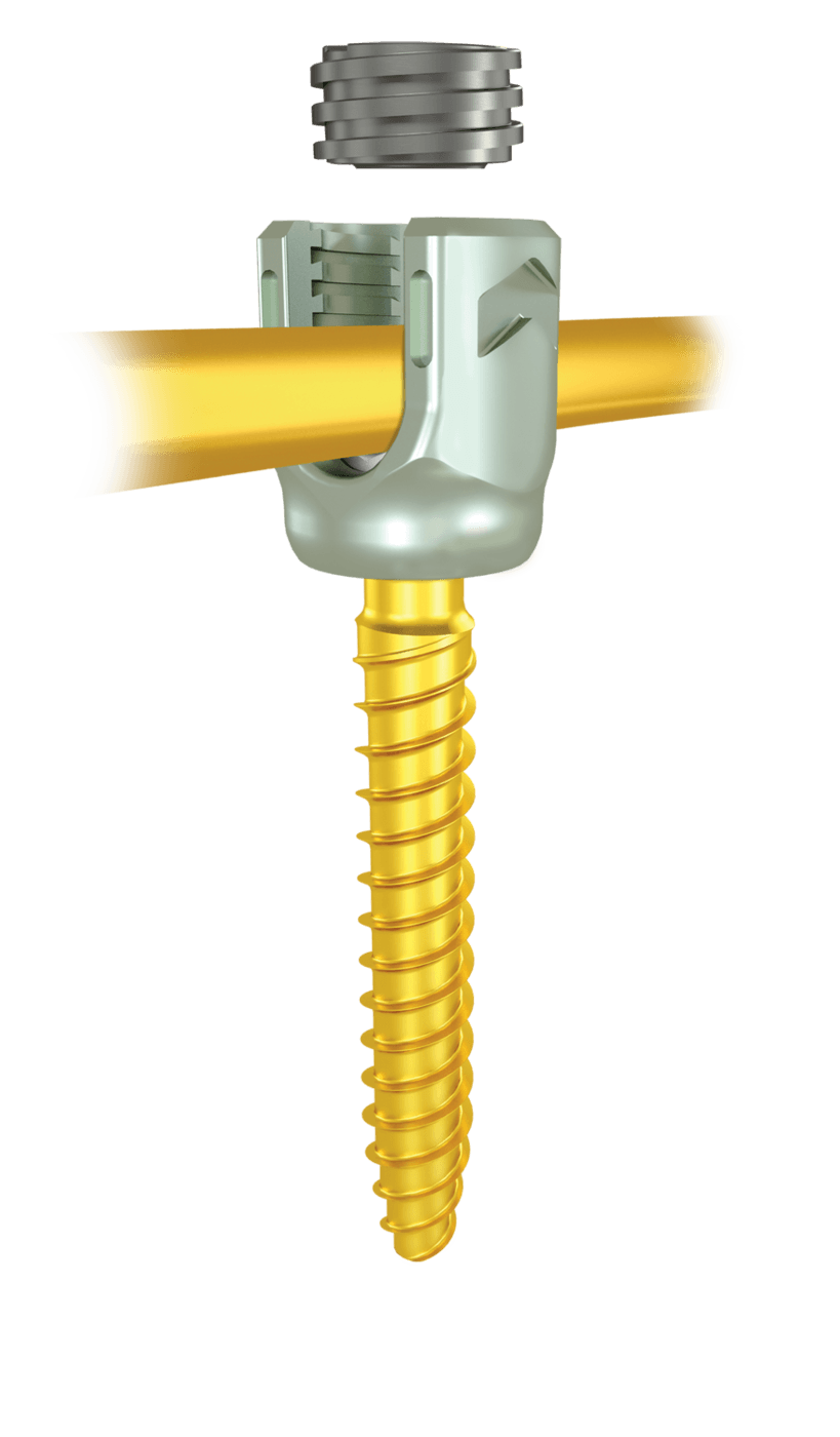 CREO DLX 65x45mm Screw Preassembled Cap and Rod