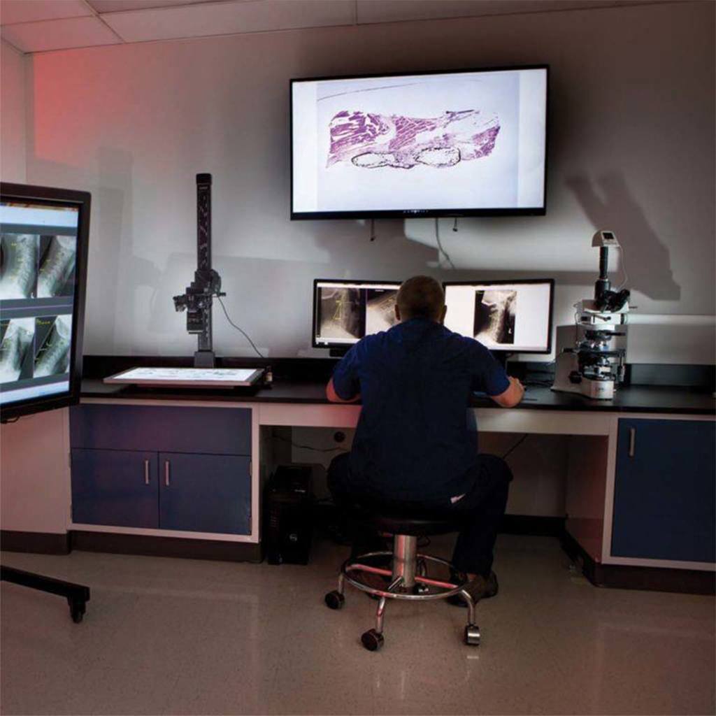 Man working on laboratory research