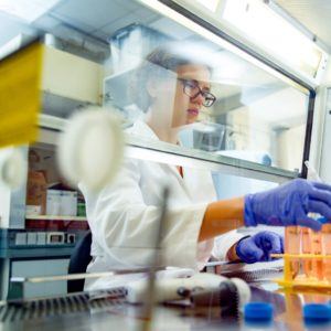 researcher preparing tissue cultures