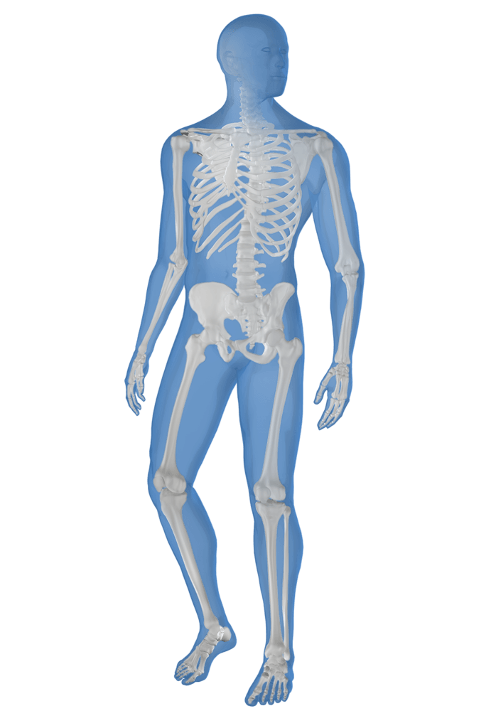 Globus musculoskeletal solutions for orthopedic trauma