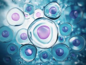 Globus Medical Biologics