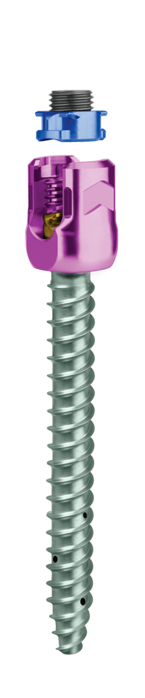 CREO® Fenestrated 5.5 Polyaxial Screw