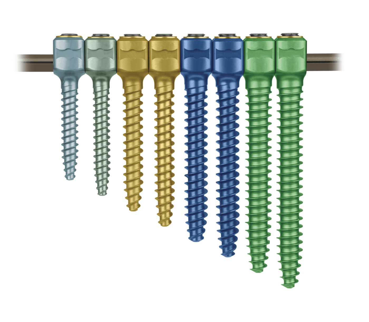 REVERE® Anterior Fusion Screws