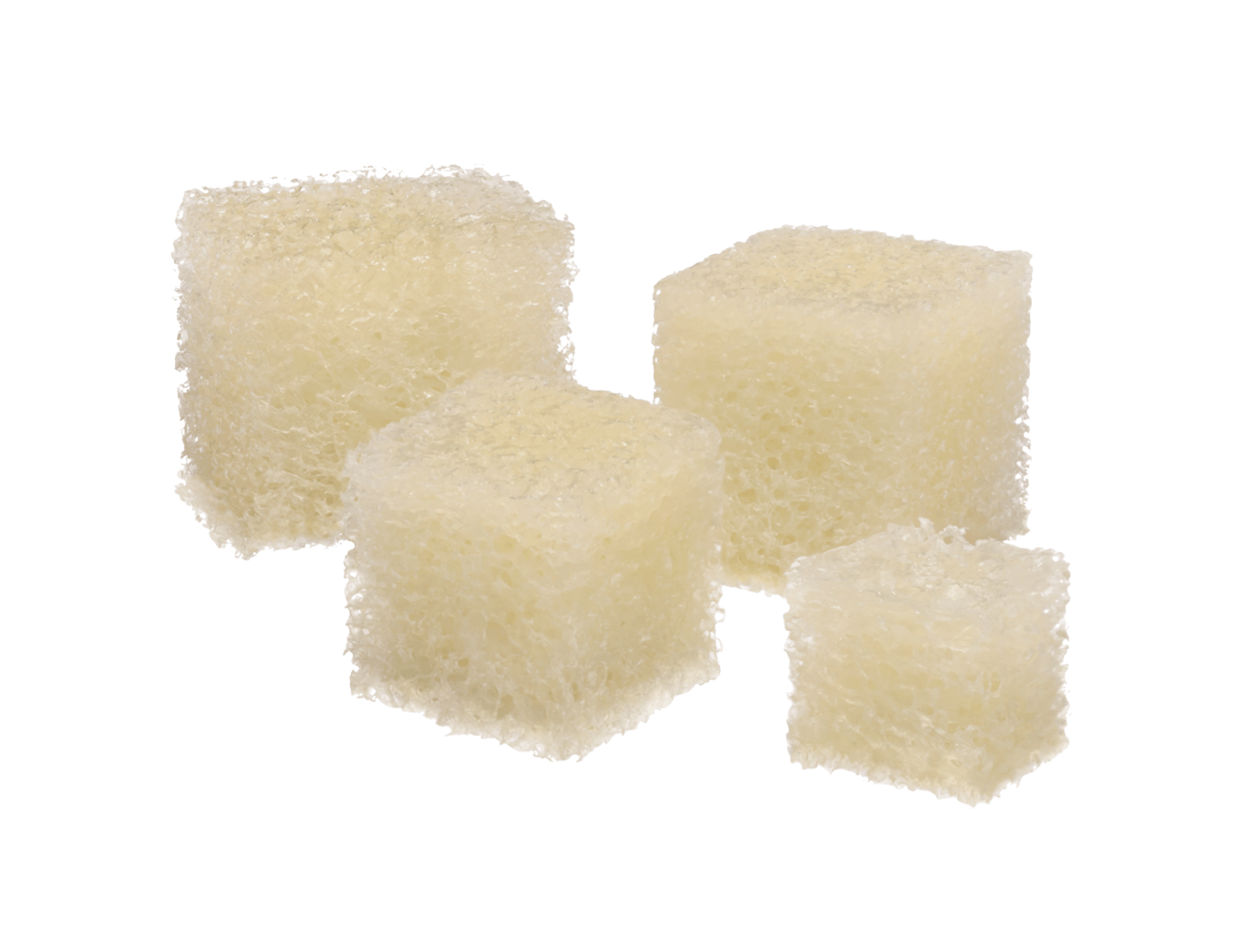 ViaSorb® Demineralized Cancellous Sponge Cubes Family