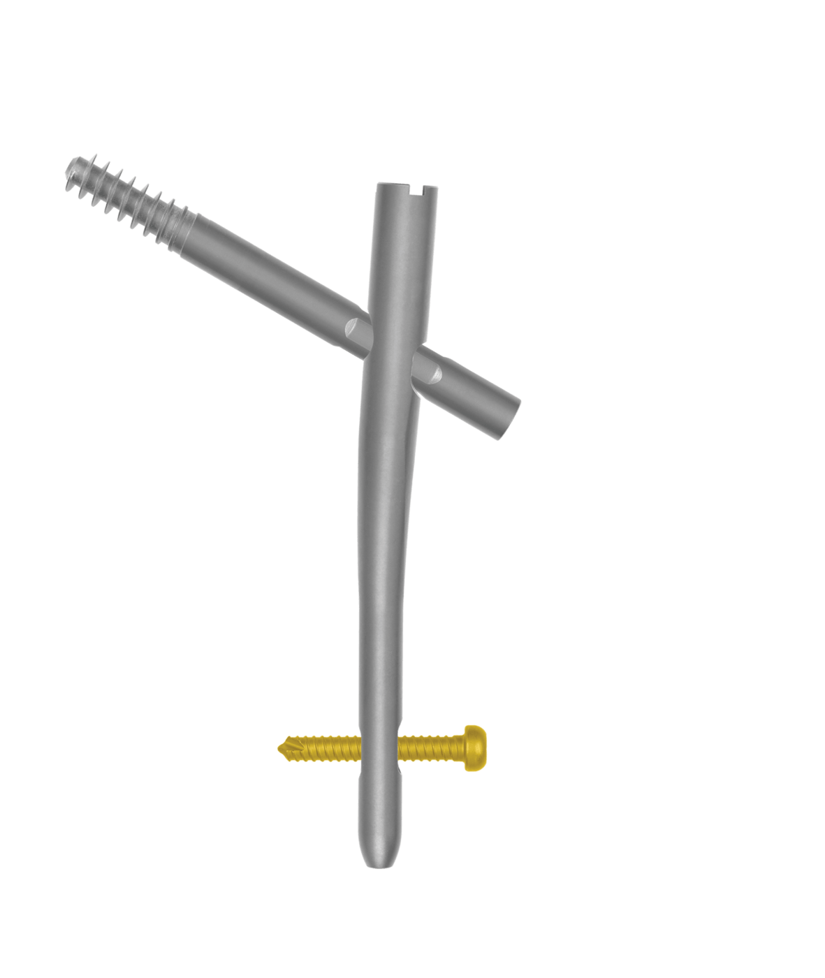 AUTOBAHN® Trochanteric Nailing System | Globus Medical AUTOBAHN® Trochanteric Nailing System | Globus Medical