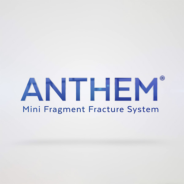 ANTHEM Mini Fragment Fracture system