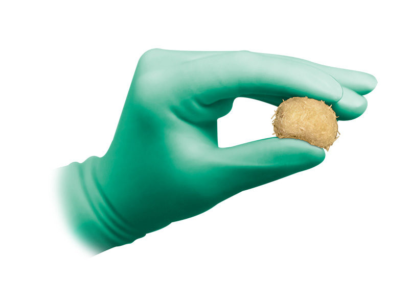 Gloved hand holding Trifecta