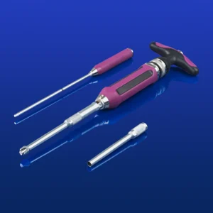 Graft Delivery System