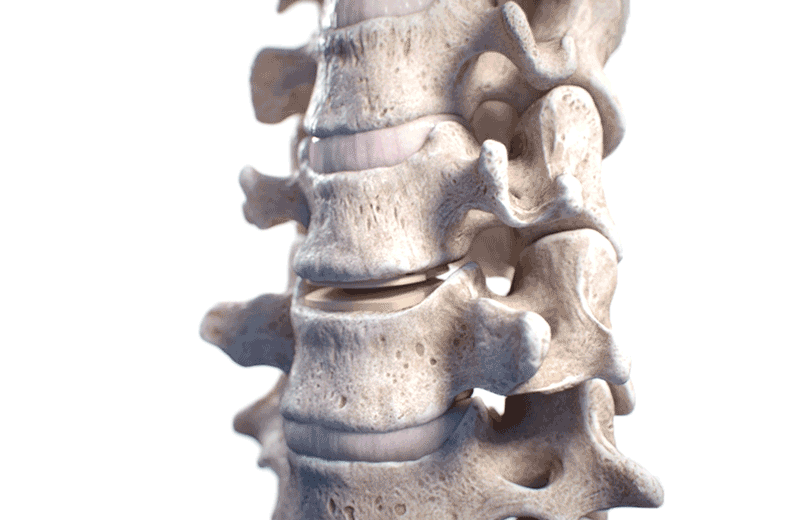 Animated gif of spine