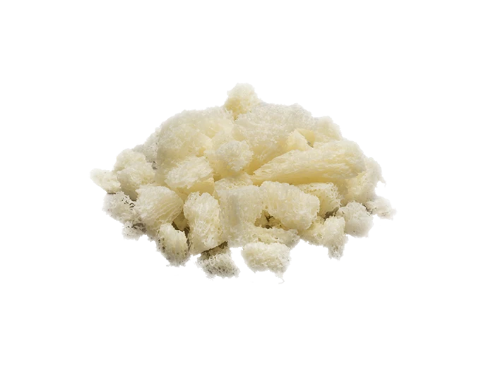 Cancellous chips