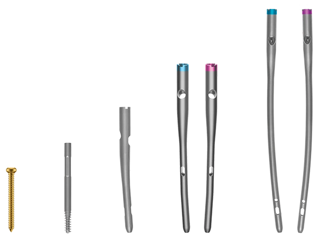 AUTOBAHN Trochanteric Nail