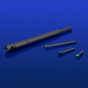 Precice Ankle Salvage System