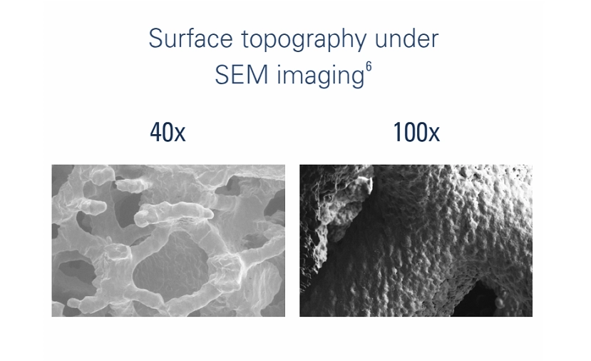 Modulus SEM imaging